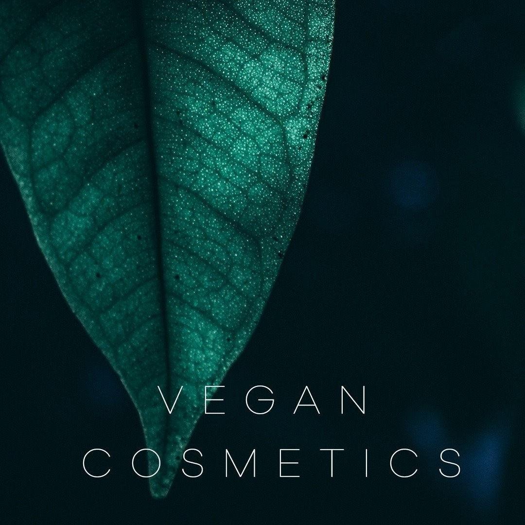 Lana Brasiles | Forest Tanino Shampoo And Conditioner Duo Hair Care| Immediate Repair of Highly Damaged Hair, Hair Vitality, and a Blend of Vitamins | (2x) 250 ml / 8.45 fl.oz. (Set of 2) - BUY BRAZIL STORE