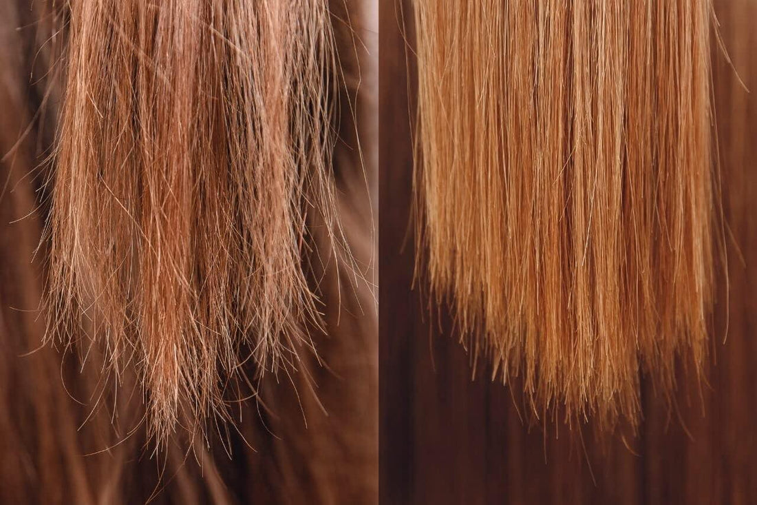 Borabella, Oleo de Argan e Macadamia, Finishing Oil For Hair, 60ml - BUY BRAZIL STORE