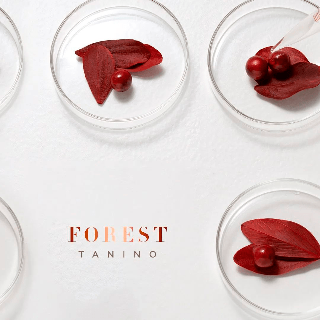 Lana Brasiles | Forest Tanino Duo Deep Clean Shampoo And Smoothing Hair Treatment | All Hair Types | Smooth And Natural | (Set of 2) (1000 ml / 33.8 fl.oz) - BUY BRAZIL STORE