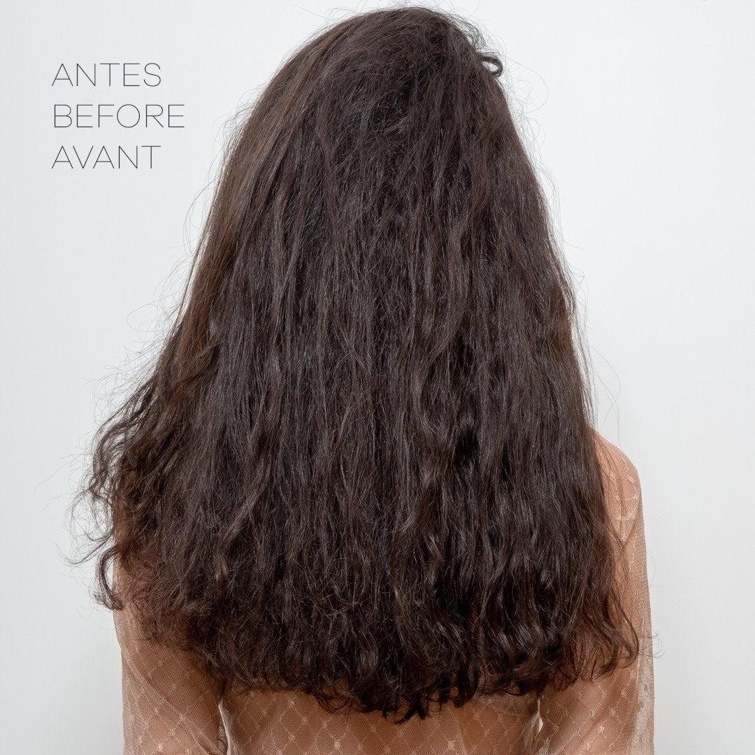 Lana Brasiles | Forest Tanino Shampoo And Conditioner Duo Hair Care| Immediate Repair of Highly Damaged Hair, Hair Vitality, and a Blend of Vitamins | (2x) 250 ml / 8.45 fl.oz. (Set of 2) - BUY BRAZIL STORE