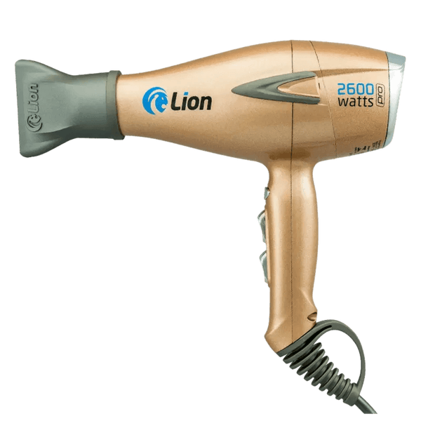 220v blow dryer shop