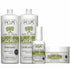 Felps, KIT Cachos Azeite de Abacate, 2x500ml+ 1x50ml+1x300gr - BUY BRAZIL STORE-felps professional
